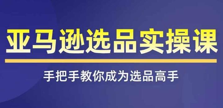 亚马逊选品实操课程，快速掌握亚马逊选品的技巧，覆盖亚马逊选品所有渠道-南友云赚