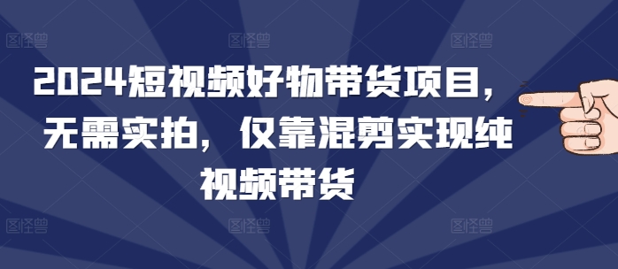 2024短视频好物带货项目，无需实拍，仅靠混剪实现纯视频带货-南友云赚