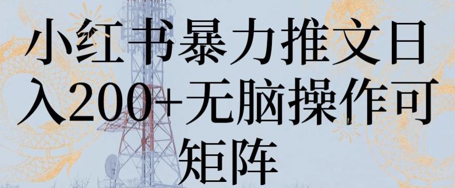 小红书暴力推文日入200+无脑操作可矩阵【揭秘】-南友云赚
