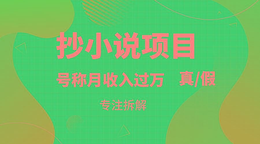 抄小说项目，号称月入过万，到底是否真实，能不能做，详细拆解-南友云赚
