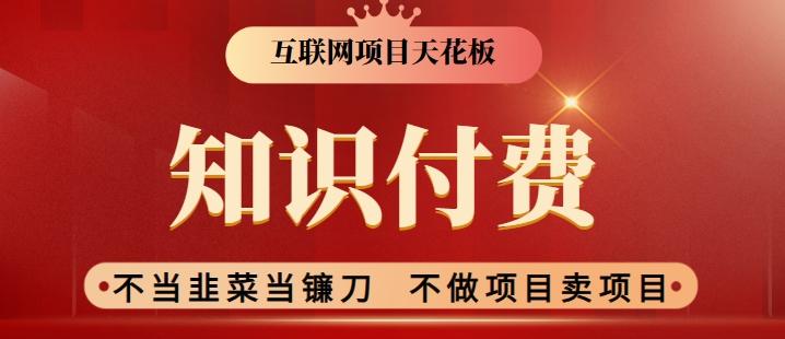 2024互联网项目天花板，新手小白也可以通过知识付费月入10W，实现财富自由【揭秘】-南友云赚