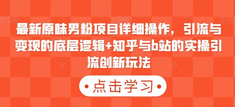 最新原味男粉项目详细操作，引流与变现的底层逻辑+知乎与b站的实操引流创新玩法-南友云赚
