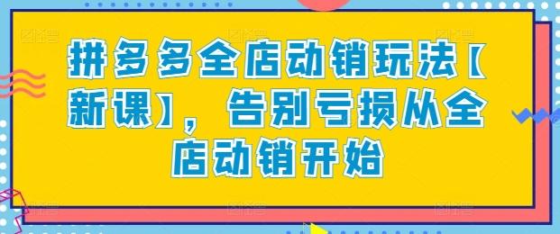 拼多多全店动销玩法【新课】，告别亏损从全店动销开始-南友云赚