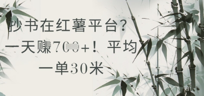 抄书在小红薯平台？平均一单30米，一天收益几张！-南友云赚