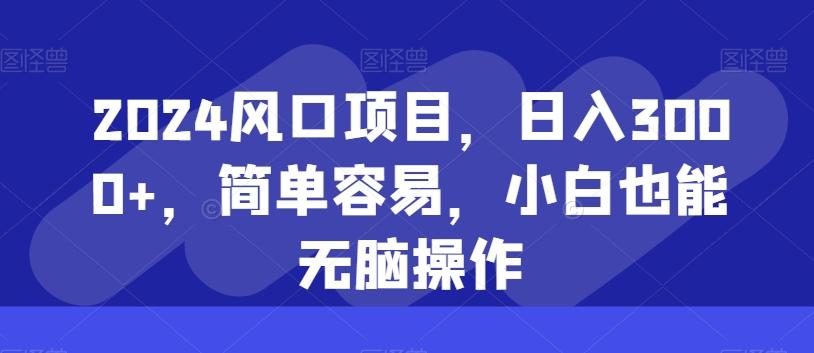 2024风口项目，日入3000+，简单容易，小白也能无脑操作-南友云赚