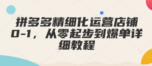 拼多多精细化运营店铺0-1，从零起步到爆单详细教程-南友云赚
