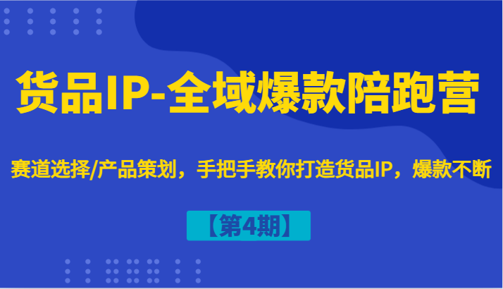 货品IP-全域爆款陪跑营【第4期】赛道选择/产品策划，手把手教你打造货品IP，爆款不断-南友云赚