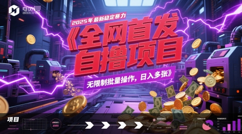 全网首发，2025年最新稳定暴力全自动自撸项目，无限制批量操作，日入多张【揭秘】-南友云赚
