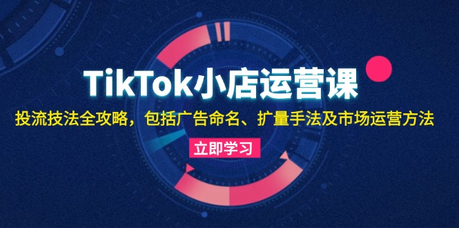 TikTok小店运营课：投流技法全攻略，包括广告命名 扩量手法及市场运营方法-南友云赚