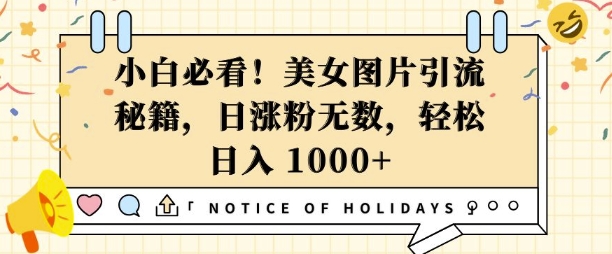 小白必看，美女图片引流秘籍，日涨粉无数，轻松日入几张【揭秘】-南友云赚