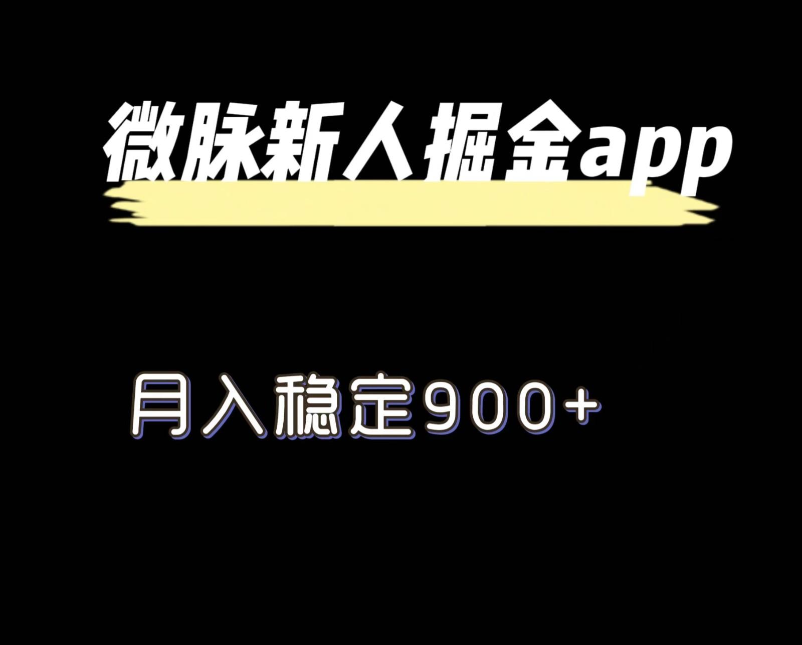 最新微脉长久项目，拉新掘金，月入稳定900+-南友云赚
