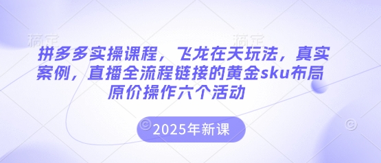 拼多多实操课程，飞龙在天玩法，真实案例，直播全流程链接的黄金sku布局原价操作六个活动-南友云赚