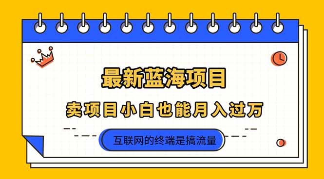 2025年最新蓝海项目，卖项目小白也能月入过万-南友云赚