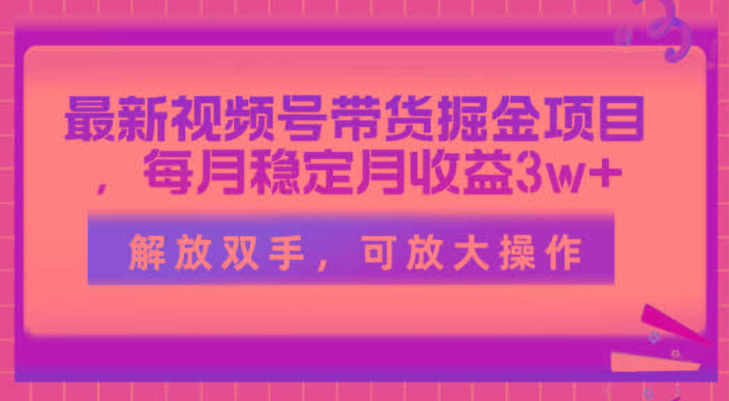 最新视频号带货掘金项目，每月稳定月收益3w+，解放双手，可放大操作-南友云赚