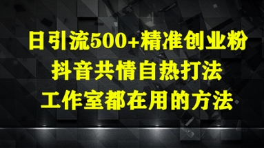 日引流500+精准创业粉，抖音共情自热打法，工作室都在用的方法-南友云赚