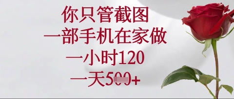 你只管截图，一部手机在家操作，一小时120.一天5张【揭秘】-南友云赚