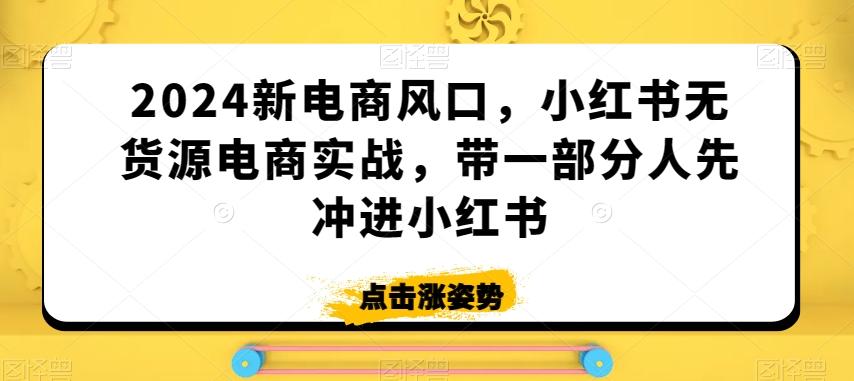 2024新电商风口，小红书无货源电商实战，带一部分人先冲进小红书-南友云赚