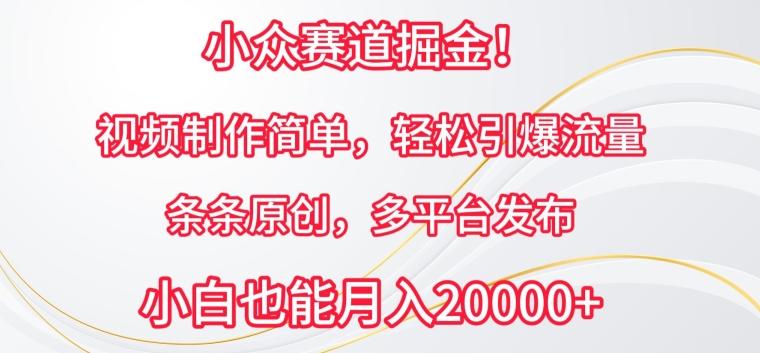 小众赛道掘金，视频制作简单，轻松引爆流量，条条原创，多平台发布【揭秘】-南友云赚