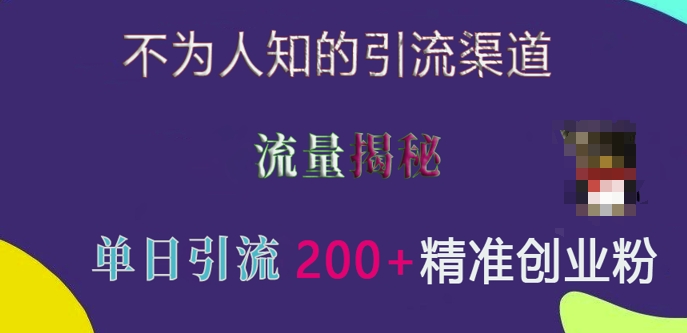 不为人知的引流渠道，流量揭秘，实测单日引流200+精准创业粉【揭秘】-南友云赚