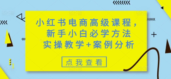 小红书电商高级课程，新手小白必学方法，实操教学+案例分析-南友云赚