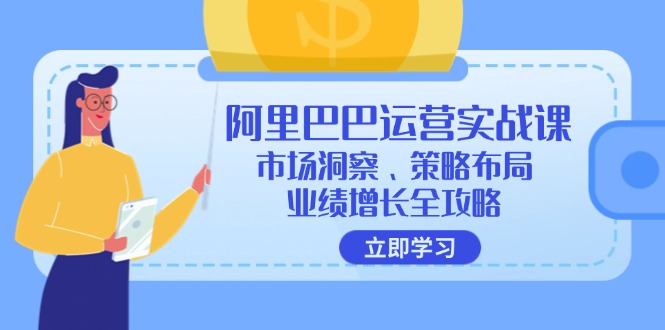 阿里巴巴运营实战课：市场洞察、策略布局、业绩增长全攻略-南友云赚