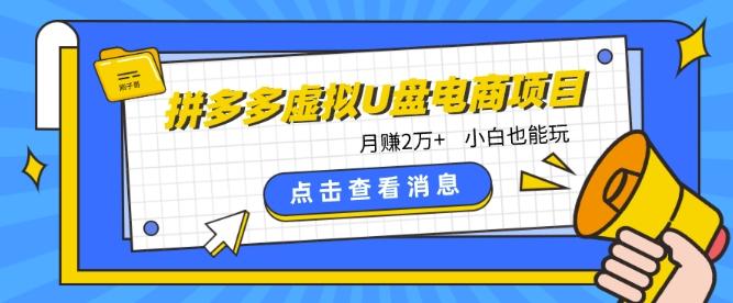 拼多多虚拟U盘电商红利项目：月赚2万+，新手小白也能玩-南友云赚