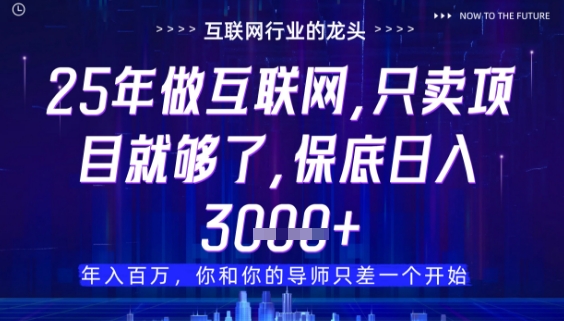 什么！25年你还在找项目做？风口早就变了，卖项目才是稳挣不赔【揭秘】-南友云赚