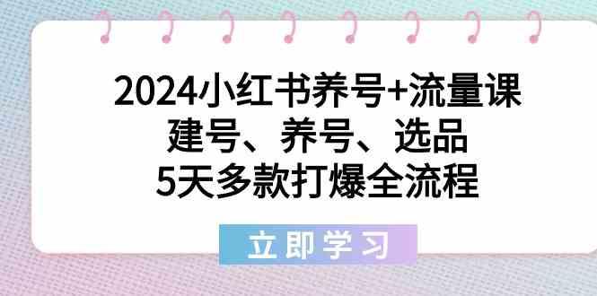 2024小红书养号+流量课：建号、养号、选品，5天多款打爆全流程-南友云赚