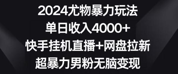 2024尤物暴力玩法，单日收入4000+，快手挂机直播+网盘拉新，超暴力男粉无脑变现【揭秘】-南友云赚