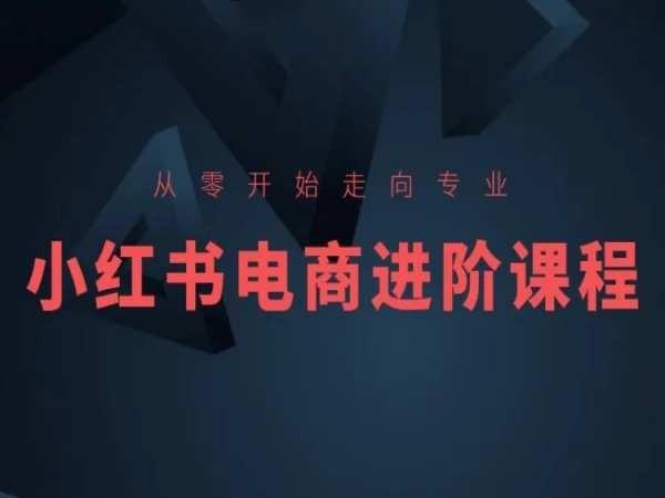 从零开始走向专业，小红书电商进阶课程-南友云赚