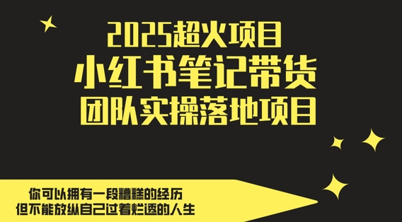 2025超火项目，副业最佳选择，小红书笔记带货团队实操落地项目，，轻松日入5张-南友云赚