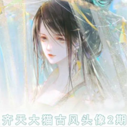齐天大猫古风头像课第2期，帮助您提高您的绘画技能-南友云赚