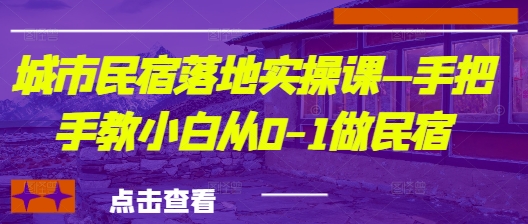 城市民宿落地实操课—手把手教小白从0-1做民宿-南友云赚