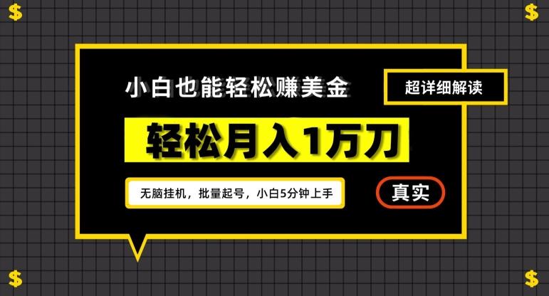 谷歌看广告撸美金2.0，无脑挂机，多号操作，月入1万刀【揭秘】-南友云赚