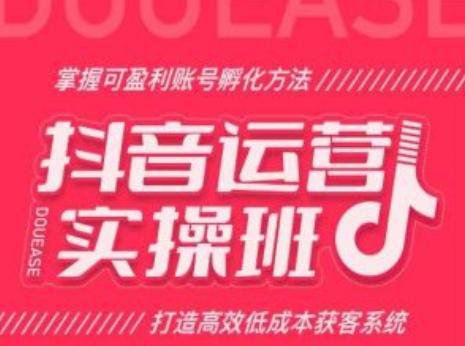 抖音运营实操班，掌握可盈利账号孵化方法，打造高效低成本获客系统-南友云赚