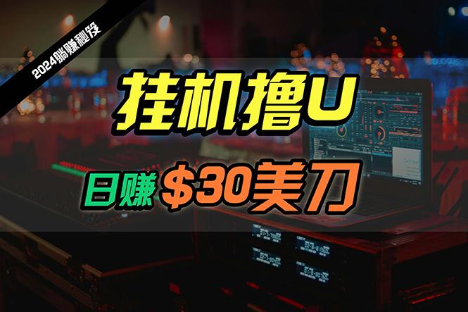 (10013期)日赚30美刀，2024最新海外挂机撸U内部项目，全程无人值守，可批量放大-南友云赚