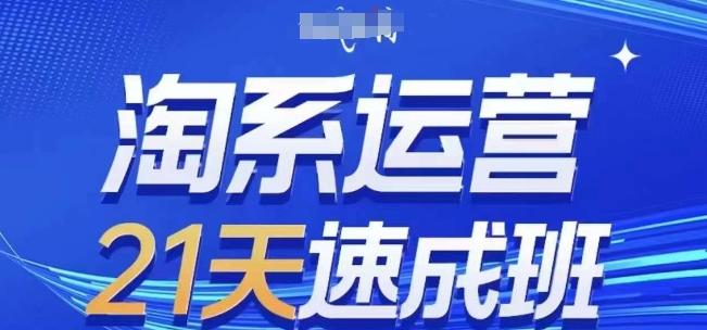 淘系运营21天速成班(更新24年6月)，0基础轻松搞定淘系运营，不做假把式-南友云赚
