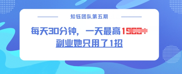 副业她只用了1招，每天30分钟，无脑二创，一天最高1.5k-南友云赚