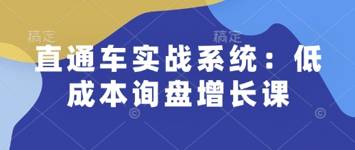直通车实战系统：低成本询盘增长课，让个人通过技能实现升职加薪，让企业低成本获客，订单源源不断-南友云赚