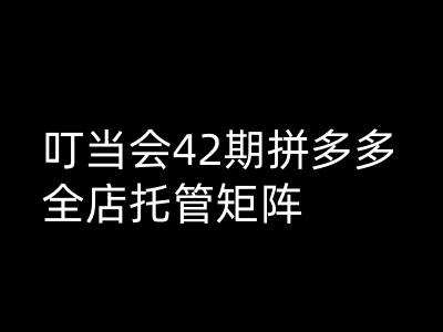叮当会拼多多打爆班原创高阶技术第42期，拼多多全店托管矩阵-南友云赚