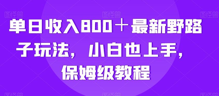 单日收入800＋最新野路子玩法，小白也上手，保姆级教程-南友云赚