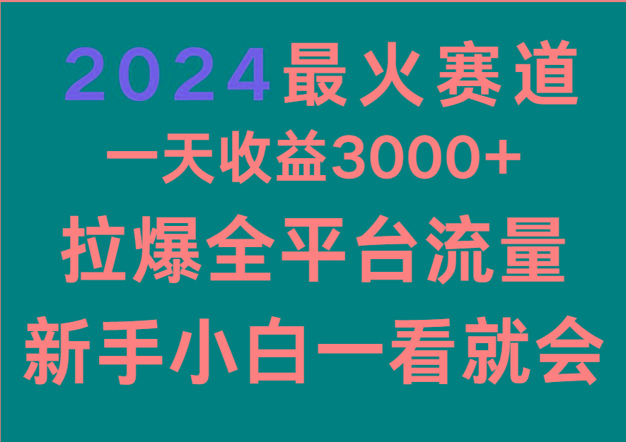 2024最火赛道，一天收一3000+.拉爆全平台流量，新手小白一看就会-南友云赚
