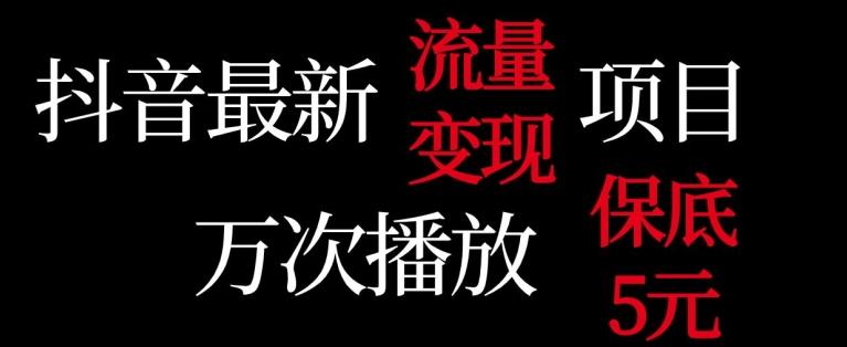 抖音流量变现，万次播放保底5元，额外收入-南友云赚