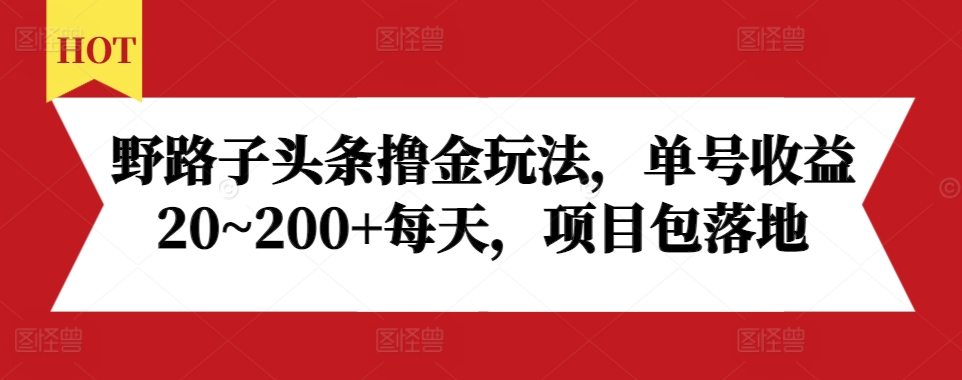 野路子头条撸金玩法，单号收益20~200+每天，项目包落地-南友云赚
