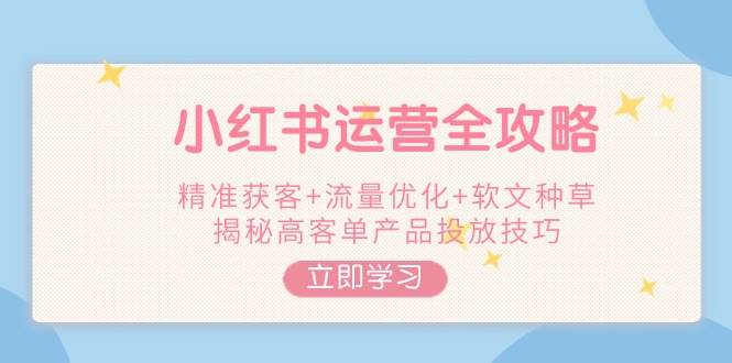 小红书运营全攻略，精准获客+流量优化+软文种草，揭秘高客单产品投放技巧-南友云赚