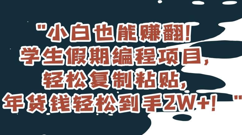 小白也能赚翻！学生假期编程项目，轻松复制粘贴，年货钱轻松到手2W+【揭秘】-南友云赚