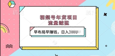 视频号年货项目，流量贼猛，早布局早挣钱，日入上k【揭秘】-南友云赚