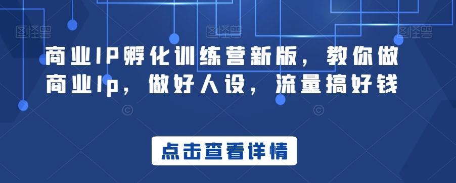 商业IP孵化训练营新版，教你做商业Ip，做好人设，流量搞好钱-南友云赚