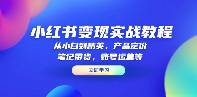 小红书变现实战教程：从小白到精英，产品定价，笔记带货，账号运营等-南友云赚