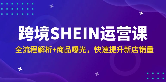 跨境SHEIN运营课，全流程解析+商品曝光，快速提升新店销量-南友云赚